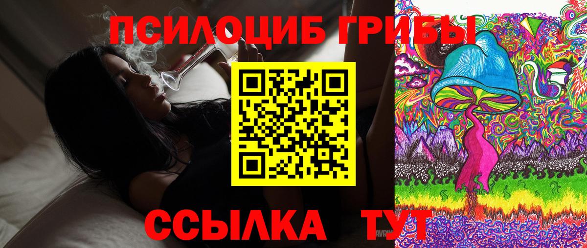 Галлюциногенные грибы Psilocybine cubensis  Вход с VPN  Прохладный  Галлюциногенные грибы прущие грибы 