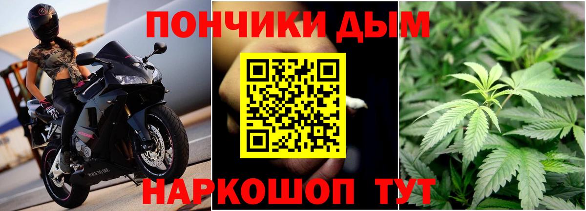 Конопля SATIVA & INDICA  Марихуана VHQ  Прохладный  Вход с VPN  Конопля MAZAR 
